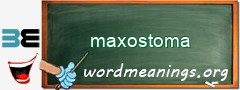 WordMeaning blackboard for maxostoma